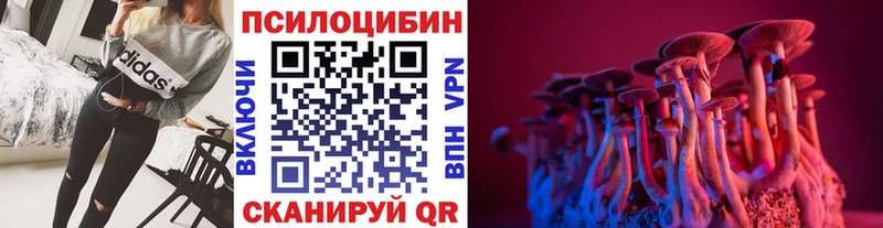 Галлюциногенные грибы MAGIC MUSHROOMS Купить где Чишмы